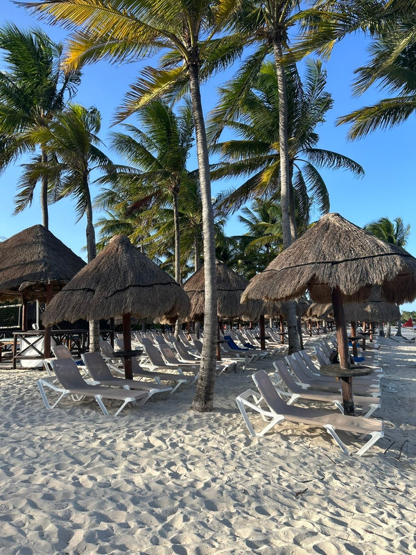 Beach scene with thatched umbrellas and lounge chairs under palm trees.
